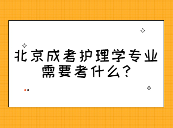 北京成考護理學專業需要考什么