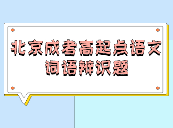 北京成考高起點語文詞語辨識題